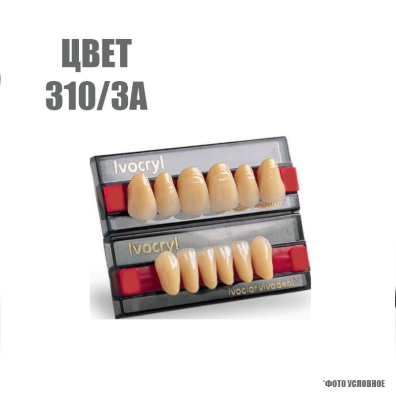 Изображение Зубы искусственные в цвете chromascop передние для в/ч SR Vivodent set of 6 upper, цвет 310/3А, размер А7 1 из 1