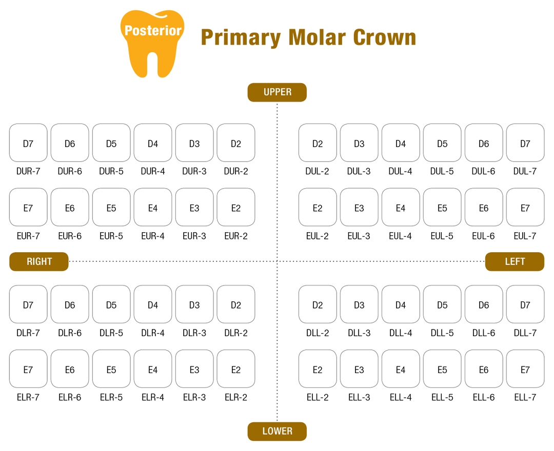 Коронки детские "I CROWN" DLL-2 первый нижний левый, стандартные, нержавеющая сталь, 5шт в упаковке.